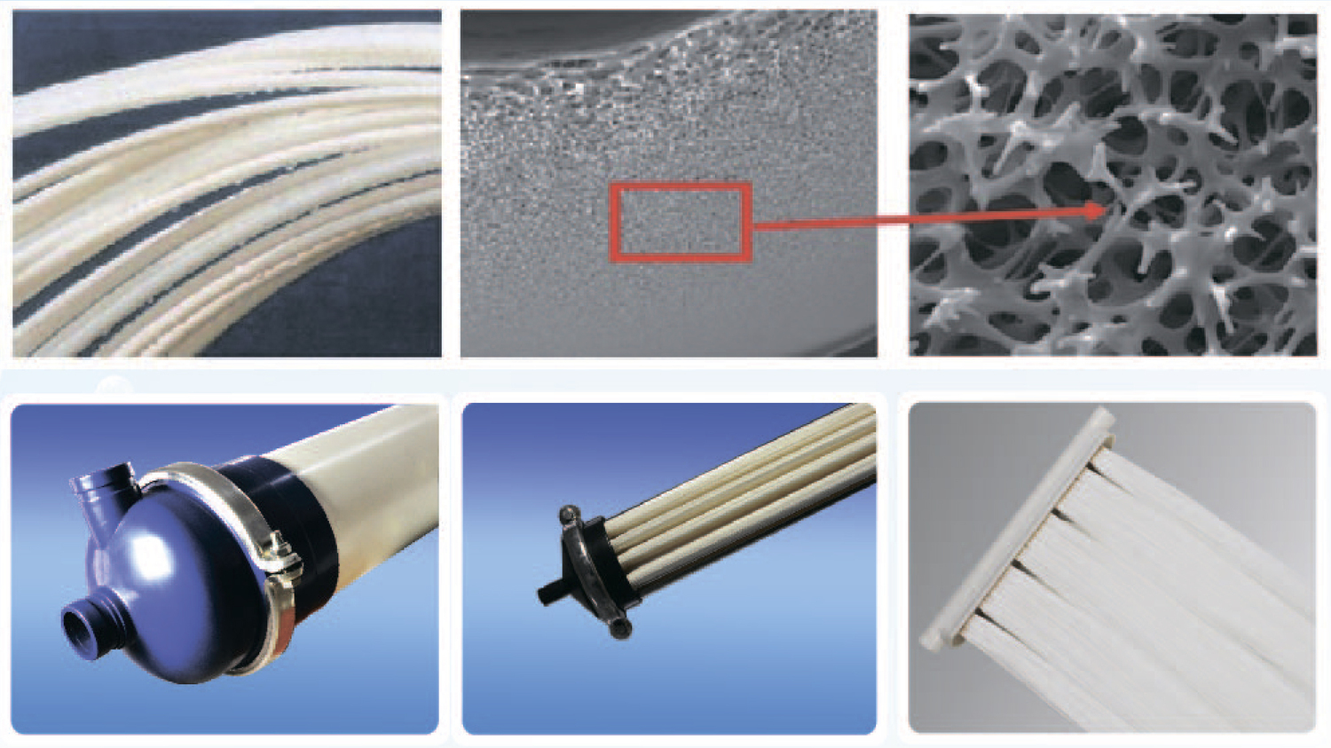 Описание изображения